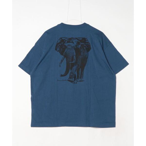 tシャツ BANANA REPUBLIC FACTORY STORE　　日本限定 グラフィックTシャ...