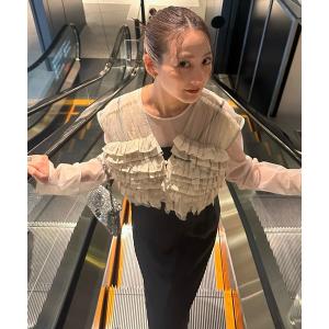 ドレス タフタチュールベストセットドレス / taffeta tulle vest set dress