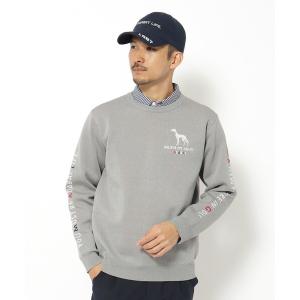 セーター ニット ウォッシャブル素材 サルーキジャカードニット メンズ