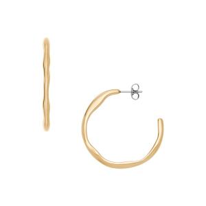 イヤリング スカーゲン アクセサリー レディース ピアス  SKJ1870710 レディース