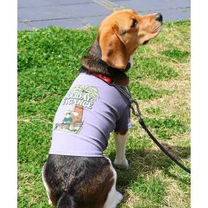 犬 服 ウェットプロテクトT(シュナウザー)