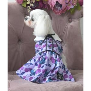 犬 服 ANNA SUI/リボンタイチェリー総柄ワンピース