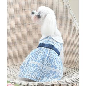 犬 服 One Octave/丸襟レースワンピース