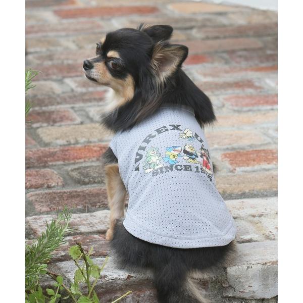犬 服 AVIREX/フェードウォッシュタンクトップ