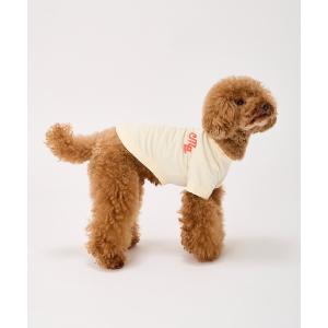 犬 服 パフィーロゴクールTシャツ/小型犬/M/MD/L