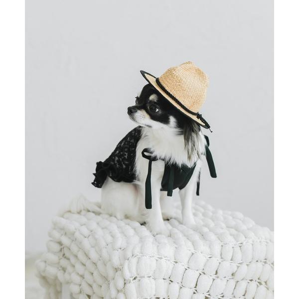 犬 服 コントラストレースキャミソール