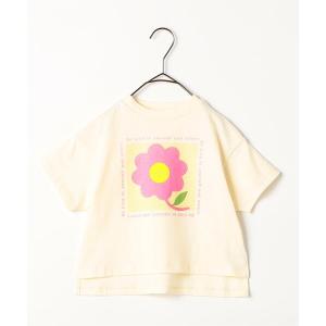 tシャツ 「ジュニア対応」3柄グラフィックプリン...の商品画像