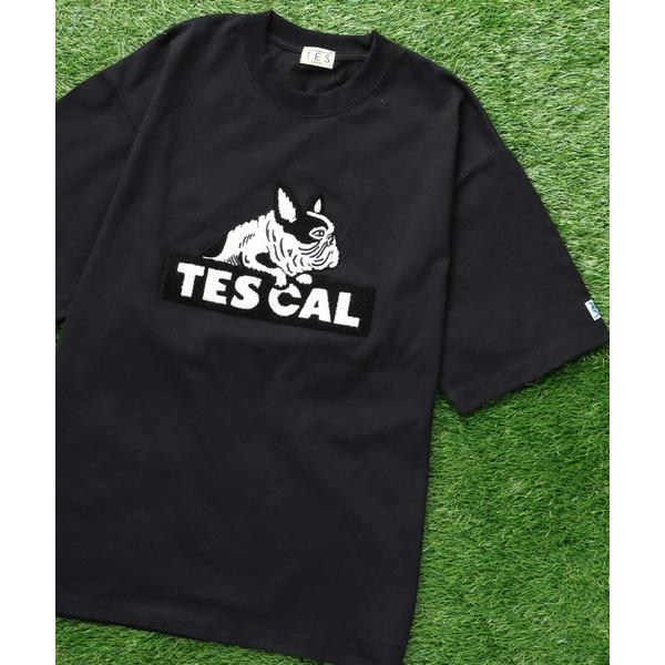 tシャツ TES CAL SAGARA LOGO BIG T-SHIRT / ビッグシルエットTシャ...