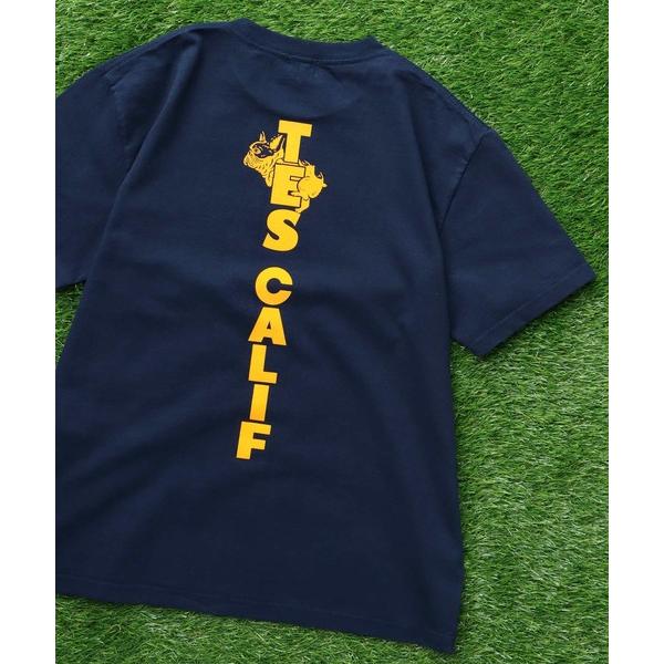 tシャツ TES CAL FLOCK T-SHIRT / Tシャツ メンズ レディース