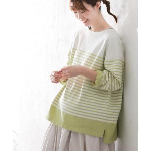 tシャツ らんまんyellowボーダーカットソー レディース