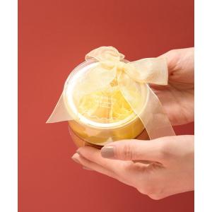アイビー化粧品　ガーランド　バスエッセンス500ml 2個セット アイビー化粧品 ガーランド バス エッセンス 500ml : アーバンコスメ