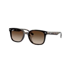Ray-Ban 国内正規品 レイバン RB4441D ( Low Bridge Fit ) BIO