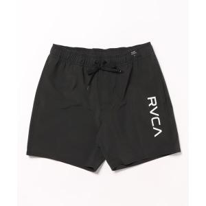 水着 メンズ レディースの商品画像