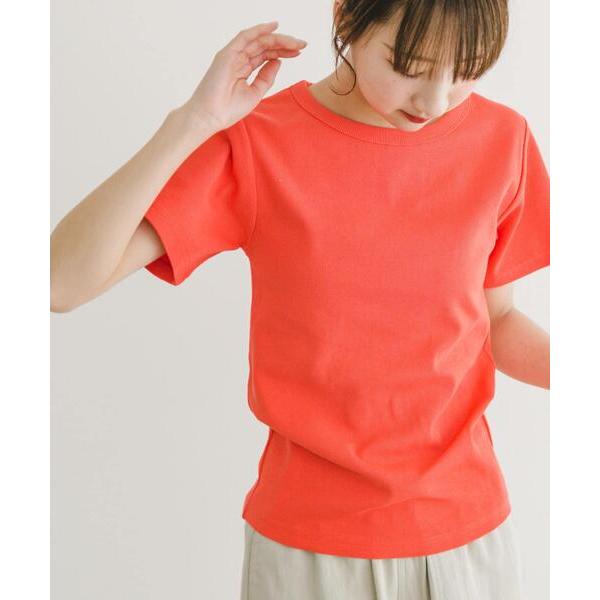tシャツ クールコットンリブ半袖Tシャツ レディース