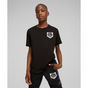 ★ プーマ Tシャツ ★ PUMA（プーマ） tシャツ PUMA SKATEBOARDING/プーマ スケート