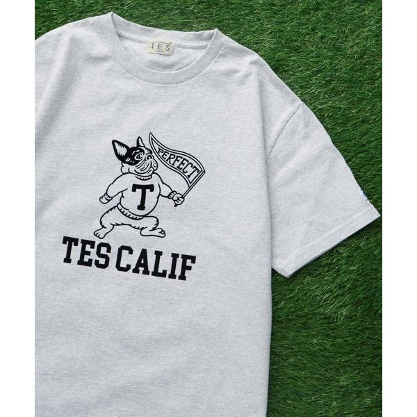 tシャツ TES COLLEGE FLOCKY T-SHIRT / Tシャツ メンズ レディース
