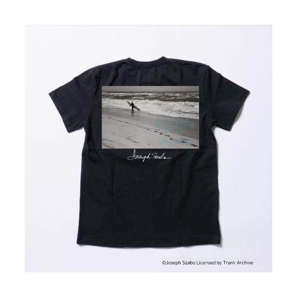 tシャツ DRY COTTON STANDARD S/S TEE （surf） メンズ