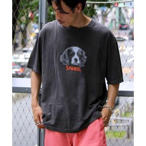 tシャツ 「新柄追加」「GLOSTER/グロスター」DOG＆CAT 犬猫プリント ピグメント プリントTシャツ メンズ レディース