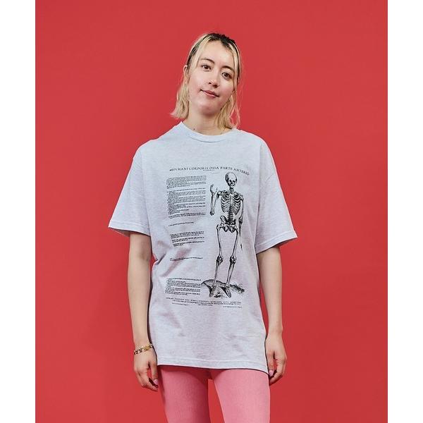 tシャツ VARIOUS PRINTS ”VESALIUS SKELTON”/ヴェアリアス プリンツ...