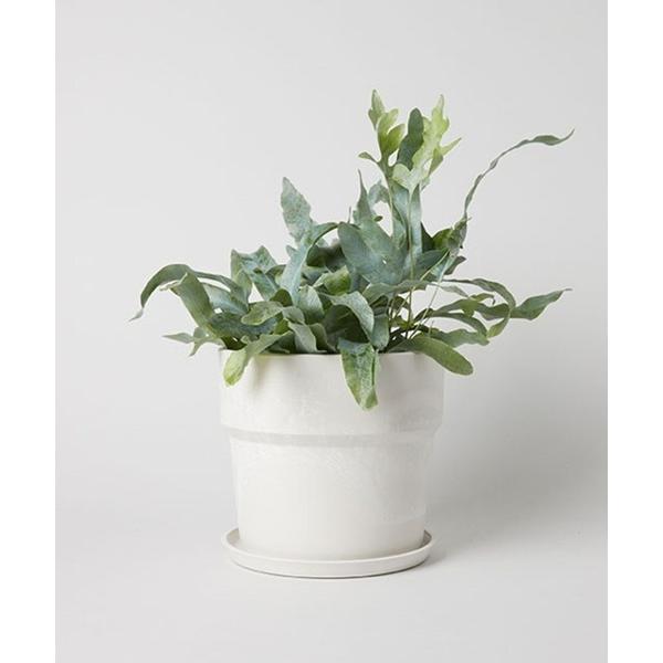 花瓶 アーバンプランター L / 359376