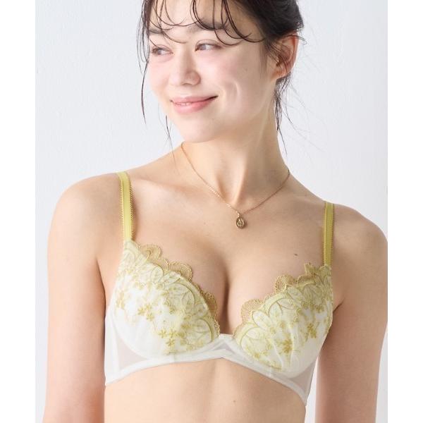 ブラジャー チャーミングラマーノンワイヤー ブラジャー リーフフロー「E，Fカップ」 AMST151...