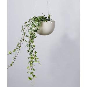 花瓶 「KINTO」プラントポット M/357867の商品画像