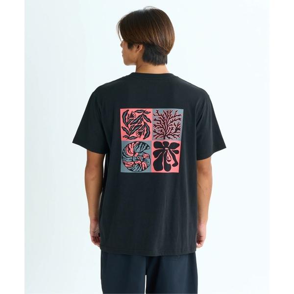 tシャツ EVO INTERCONNECTED S /クイックシルバーレギュラーフィットバックプリン...