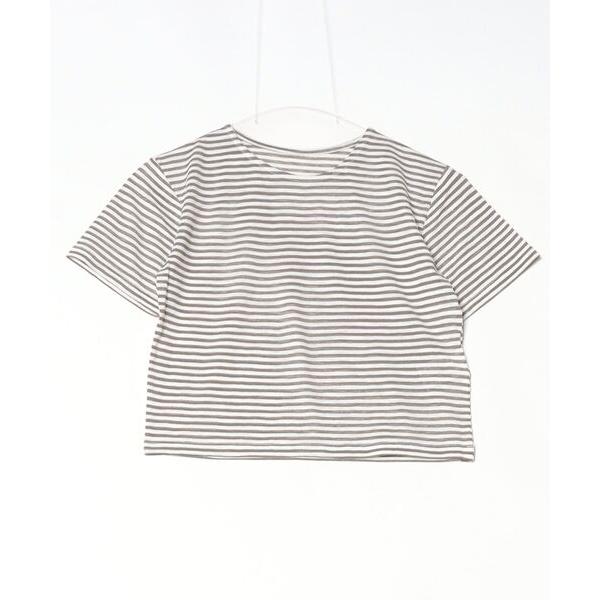 tシャツ シアーボーダーショート丈Ｔシャツ レディース