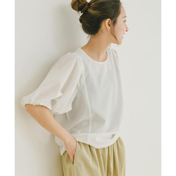 ブラウス シャツ サッカーボリュームスリーブプルオーバー レディース