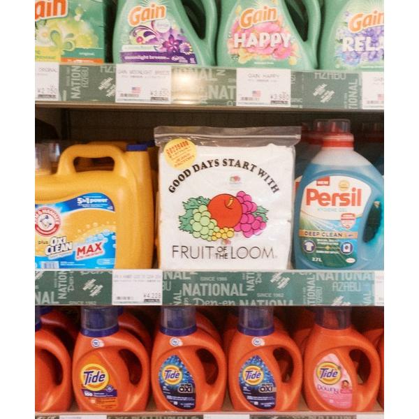 tシャツ 「FRUIT OF THE LOOM/フルーツオブザルーム」 × 中津川吾郎(MIN-NA...