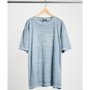 tシャツ 「 MOOMIN / ムーミン 」 ピグメント刺繍Tシャツ　WNI レディース メンズ