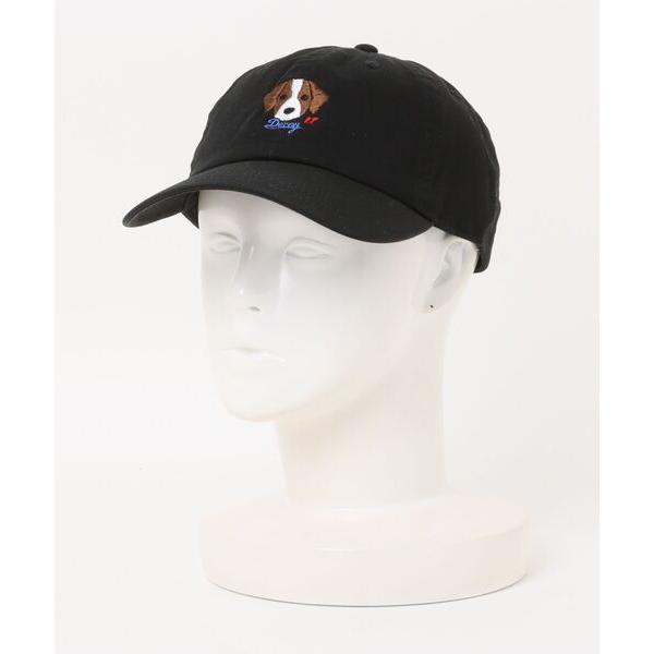 キャップ 帽子 カシュネ cache nez / SHL Decoy刺繍CAP-（Newhattan...