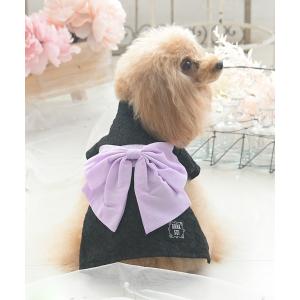 犬 服 ANNA SUI/レース浴衣