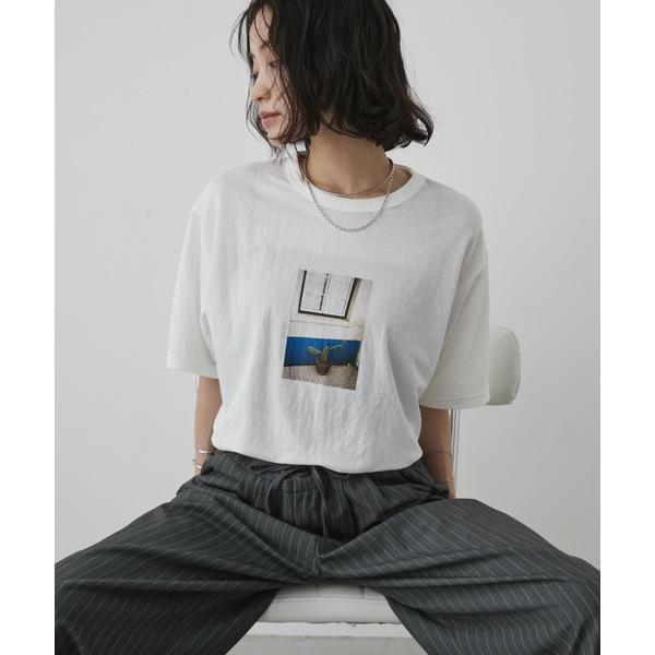 tシャツ プリントフォトTシャツ/接触冷感 レディース