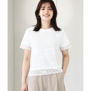 tシャツ 半袖 スカラップレースTシャツ/接触冷感/洗える/WEB限定サイズあり レディース