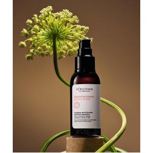 L'OCCITANE 【送料無料】LOCCITANE ロクシタン ファイブ