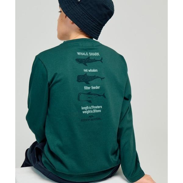 tシャツ 「保温機能」ぬくテクロンT（ジンベイザメ） キッズ 子供服 男の子 女の子