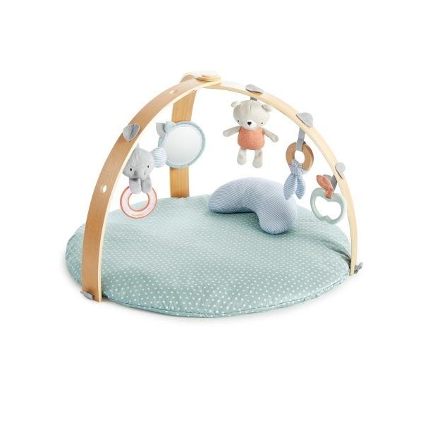 ベビー コージースポット リバーシブルジム