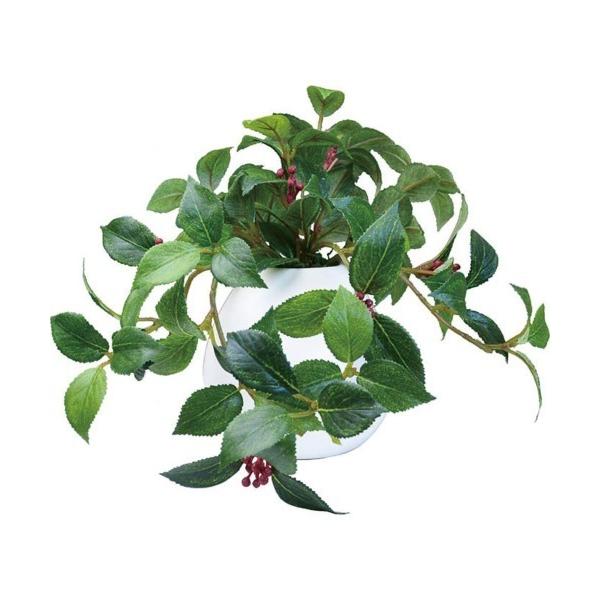 インテリア 光触媒 インテリアグリーン MRポット