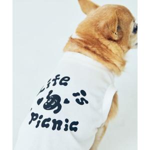 犬 服 「Chocomoo×ROPE' PICNIC」「DOG」「接触冷感」ロゴTシャツ