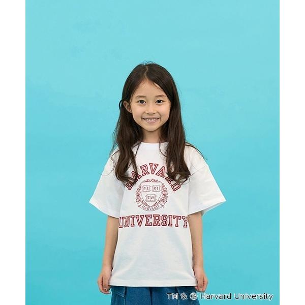 tシャツ 「SKIT0LY」「接触冷感」ハイクールコットン・ハーバード大学半袖Tシャツ キッズ 子供...
