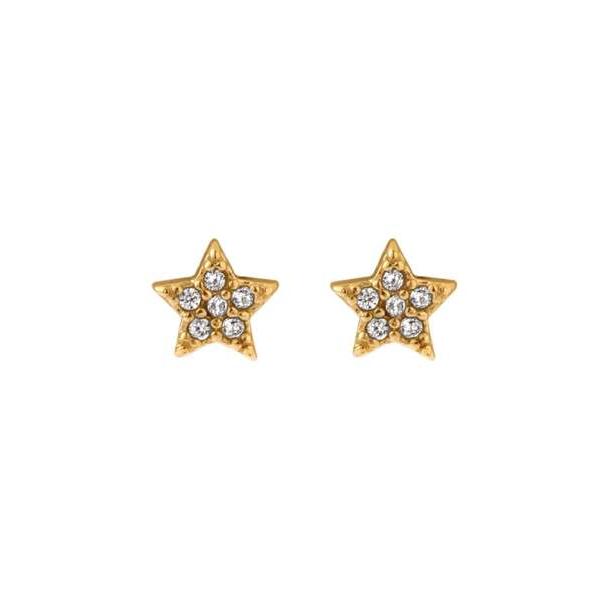 アレルギー対応 ピアス 「ステンレス」ビジュースターピアス レディース