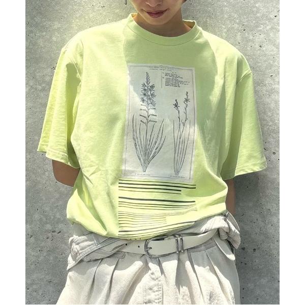 tシャツ CROP FRAME FLOWER TEE レディース