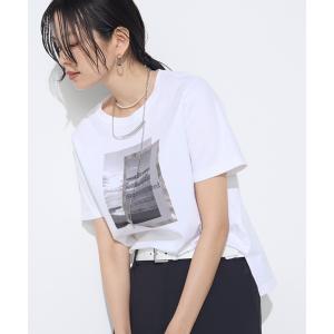 tシャツ スーピマコットンポンチ フォトTシャツ レディース
