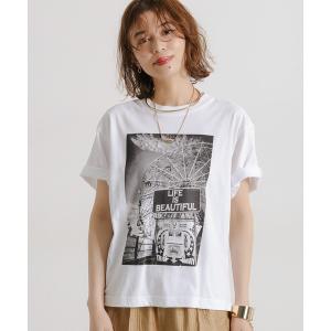 tシャツ 半袖 「daily CLIP」スター＆ストライプ フォトショートスリーブT レディース