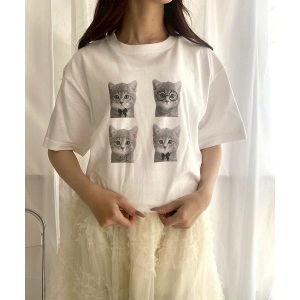 tシャツ 子猫リボン半袖Tシャツ レディース