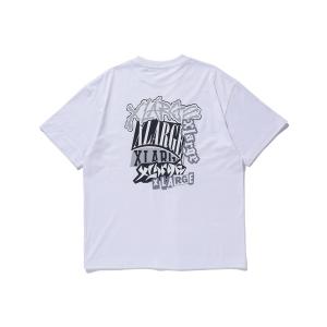 tシャツ VARIOUS LOGOS S/S TEE メンズ レディース