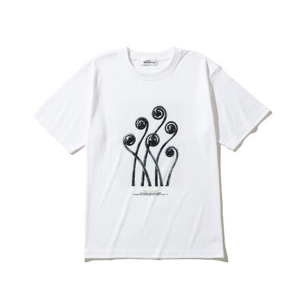 tシャツ 半袖 Kinetics WOMEN Adiantum pedatum（キネティクスウィメン...