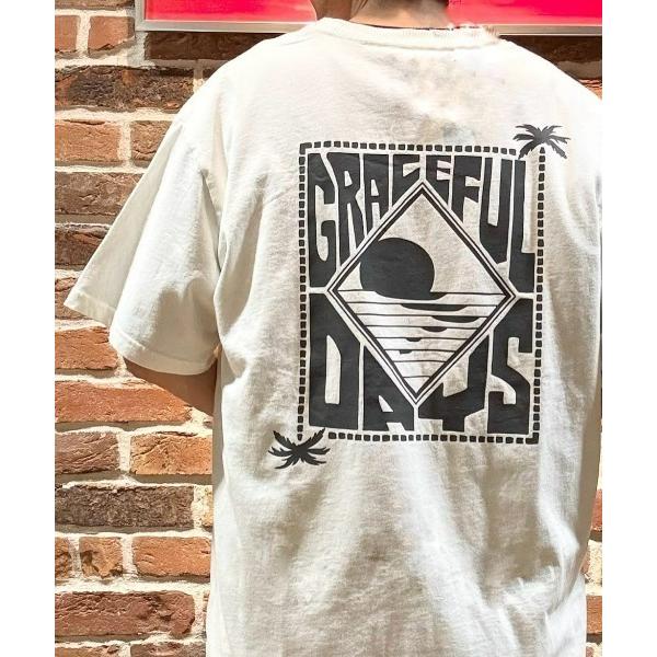 tシャツ オゾン加工パームツリープリントＴシャツ メンズ レディース