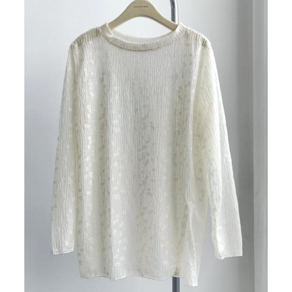 tシャツ 旬な長袖シアートップス レディース